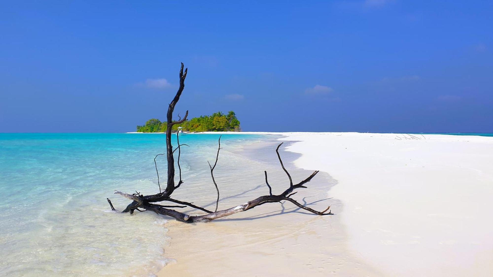 The Fulhadhoo Beach Cottage Kültér fotó