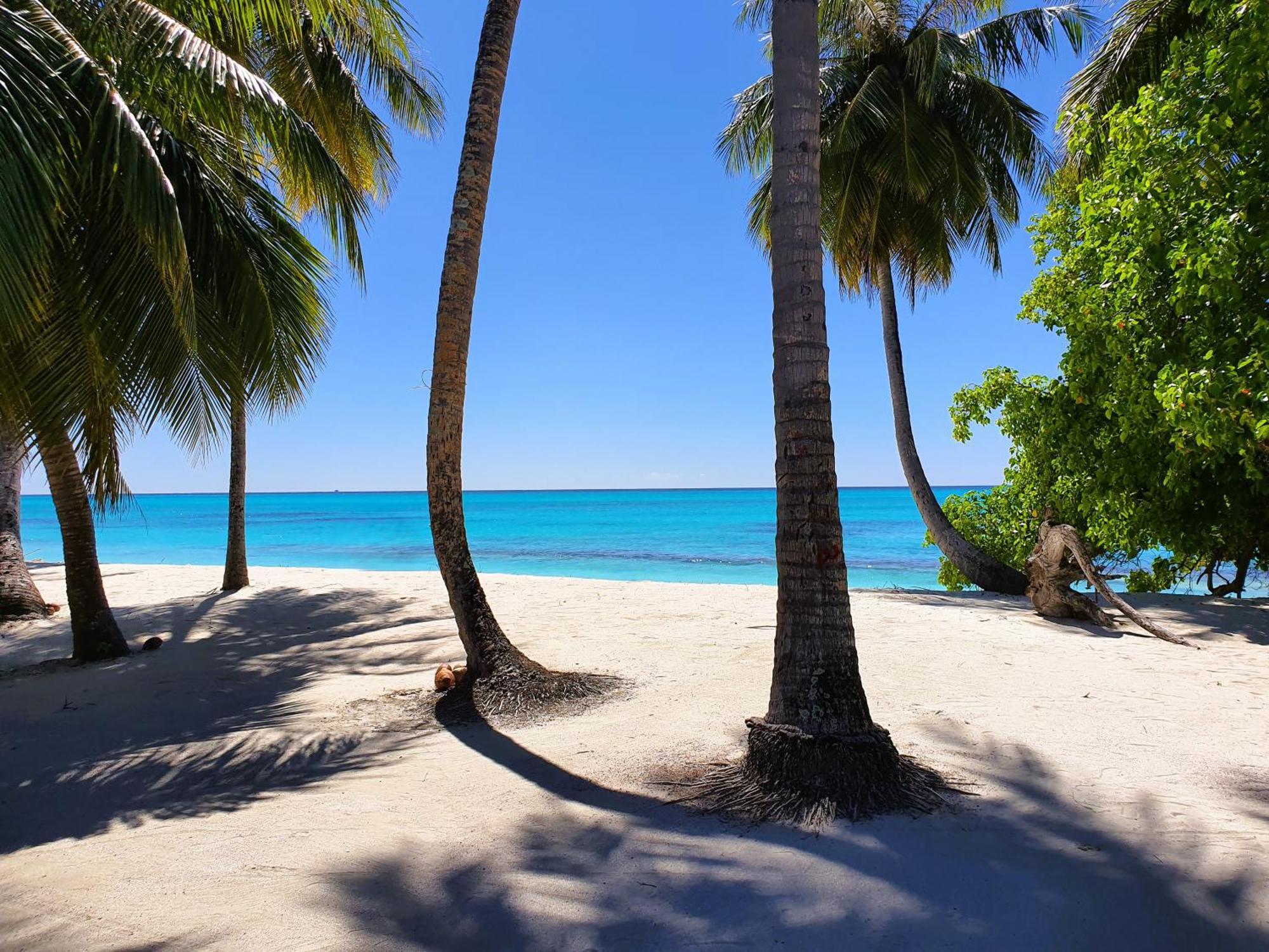 The Fulhadhoo Beach Cottage Kültér fotó